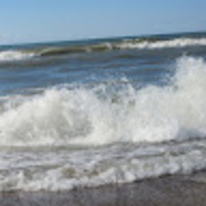 Meet your Posher, Yocheved